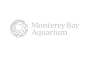 client logos grey mba client logos grey mba