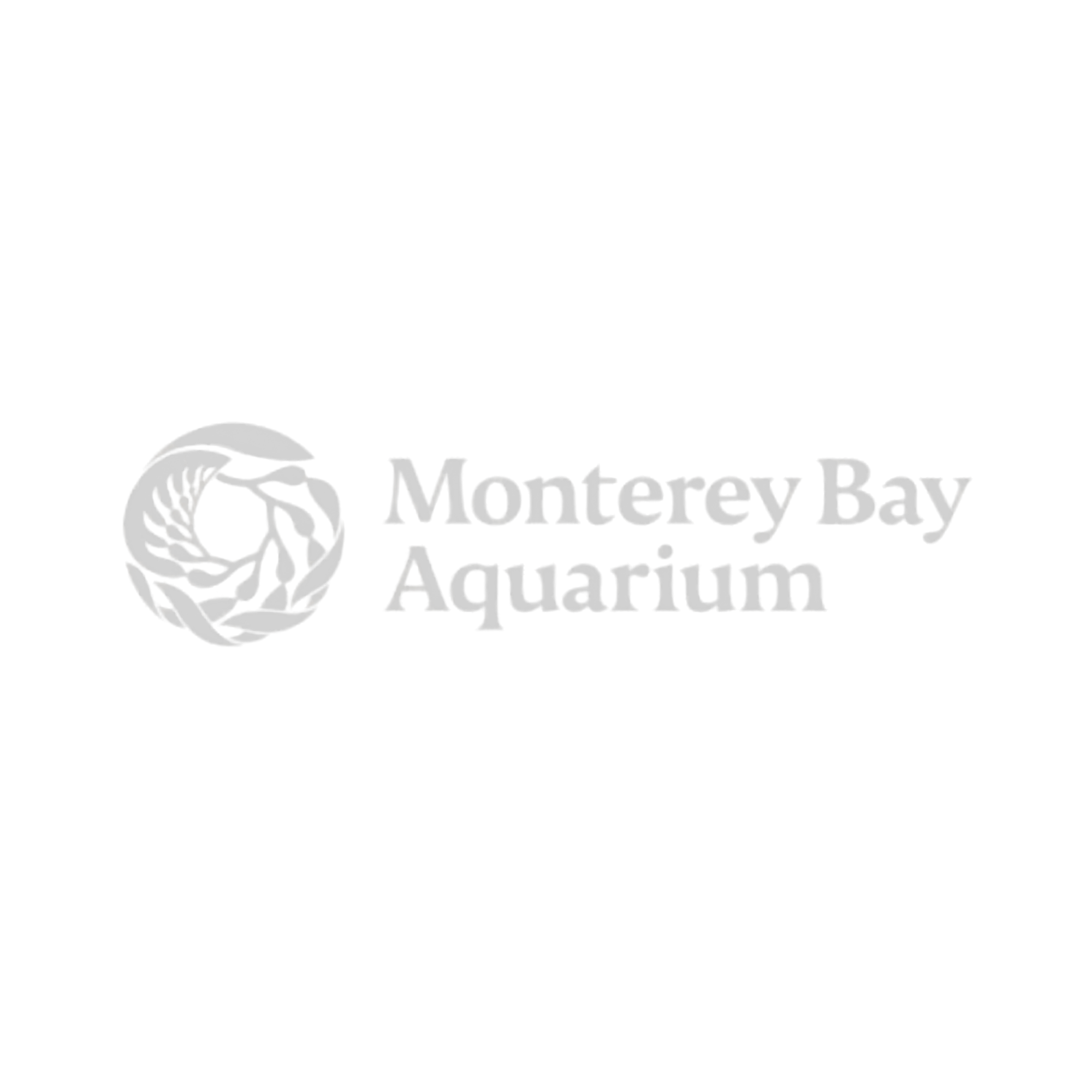 client logos grey mba